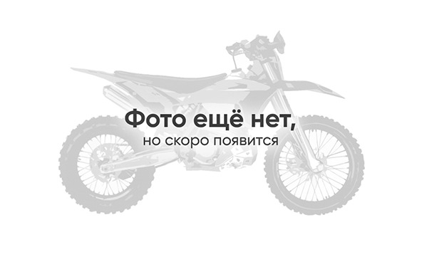 Мотоцикл Avantis Enduro 250 CBS PRO Exclusive (ZS172FMM-3A) ARS (2024) ПТС