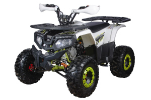 Квадроцикл ATV Yacota Fusion Pro 125