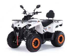 Квадроцикл ATV Motax Grizzlik 200 ULTRA