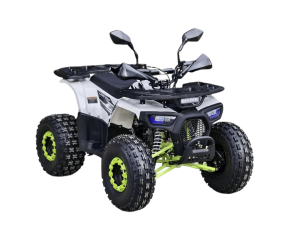 Квадроцикл R-moto Lion AR lite