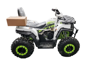 Квадроцикл R-moto Lion 200 King