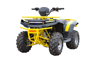 Квадроцикл ATV IRBIS 125 с ПСМ