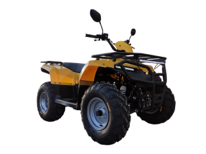 Квадроцикл ATV IRBIS 200 PREMIUM ПСМ