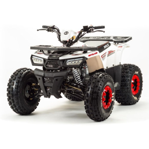 Квадроцикл ATV Wild 125A