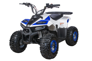 Квадроцикл ATV Yacota Raposa 110