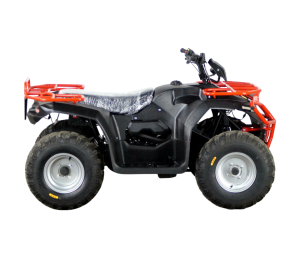 Квадроцикл ATV IRBIS 250 ПСМ