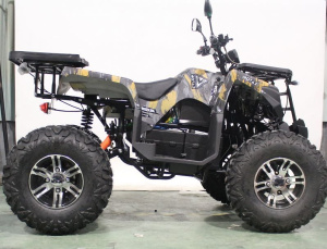 Квадроцикл ATV Motax GRIZLIK E3000 R