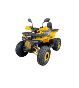 Квадроцикл R-moto Lion 125 AR