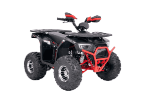Квадроцикл Yacota SIRIUS 125 LD