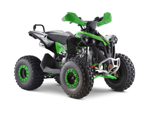 Квадроцикл Yacota RENEGADE mini 110