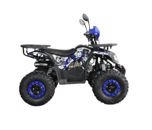 Квадроцикл Millennium 125F