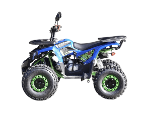 Квадроцикл R-moto Lion 125 A lite