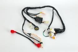 Жгут проводов (коса) Avantis A8 PR250 Жгут проводов (коса) Avantis A8 PR250