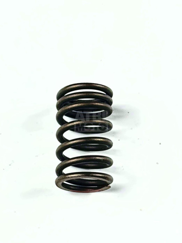 Пружина клапана внешняя 170MM TwinCam Пружина клапана внешняя 170MM TwinCam