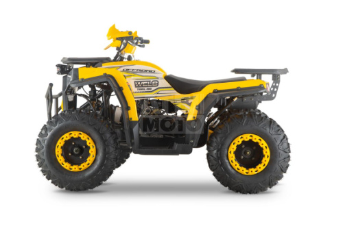Квадроцикл WELS Thunder Trail 200 Квадроцикл WELS Thunder Trail 200