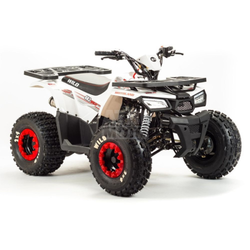Квадроцикл Wild 125A Квадроцикл Wild 125A