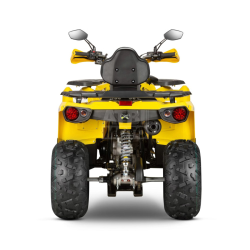 Квадроцикл Gladiator F200 Lux (2024) Квадроцикл Gladiator F200 Lux (2024)