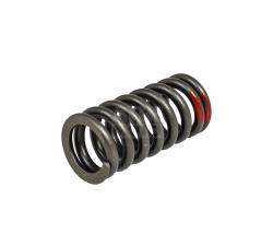 Пружина клапана ZS174MN-3 (CBS300), ZS177MM Пружина клапана ZS174MN-3 (CBS300), ZS177MM