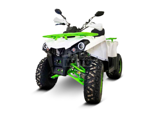 Квадроцикл Gladiator F200 Квадроцикл Gladiator F200