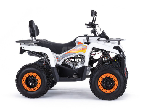 Квадроцикл Motax Grizzlik 200 ULTRA Квадроцикл Motax Grizzlik 200 ULTRA