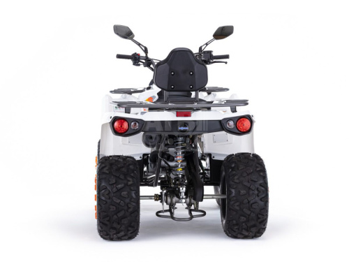 Квадроцикл Motax Grizzlik 200 ULTRA Квадроцикл Motax Grizzlik 200 ULTRA