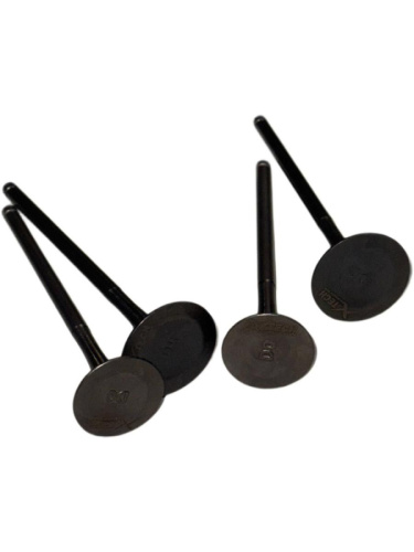 Комплект клапанов ГРМ ZS170MM-2 ZS174MN-3 (CBS300) ZS177MM(NC250) (2 шт) Комплект клапанов ГРМ ZS170MM-2 ZS174MN-3 (CBS300) ZS177MM(NC250) (2 шт)