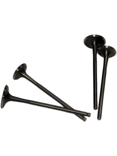 Комплект клапанов ГРМ ZS170MM-2 ZS174MN-3 (CBS300) ZS177MM(NC250) (2 шт) Комплект клапанов ГРМ ZS170MM-2 ZS174MN-3 (CBS300) ZS177MM(NC250) (2 шт)