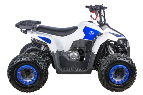 Квадроцикл Yacota Raposa 110 Квадроцикл Yacota Raposa 110