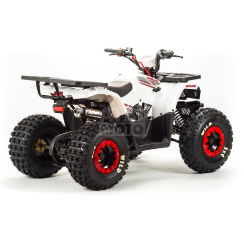 Квадроцикл Wild 125A Квадроцикл Wild 125A