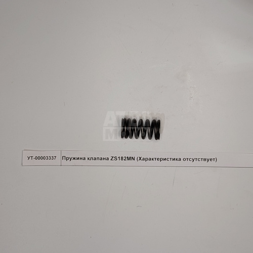 Пружина клапана ZS182MN Пружина клапана ZS182MN