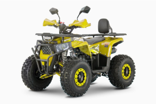 Квадроцикл WELS Thunder AX 125 Pro Квадроцикл WELS Thunder AX 125 Pro