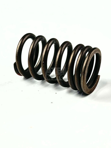 Пружина клапана внешняя 170MM TwinCam Пружина клапана внешняя 170MM TwinCam