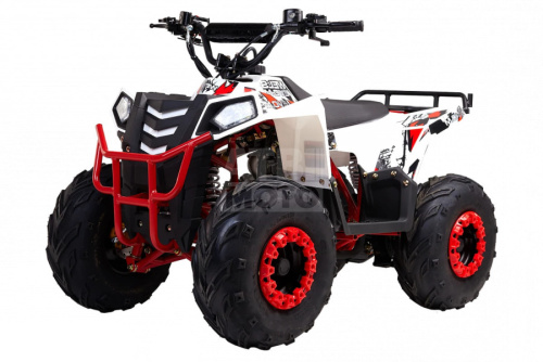 Квадроцикл WELS Thunder Evo.M 110 Квадроцикл WELS Thunder Evo.M 110