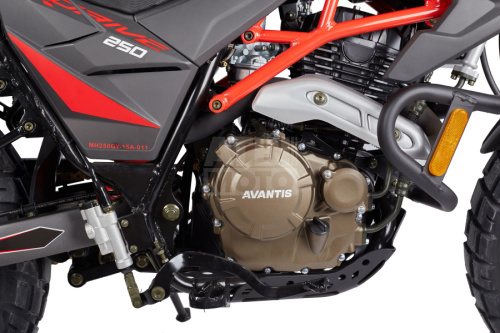 Мотоцикл Avantis Tourist 250 4-Valves ПТС (2024) Мотоцикл Avantis Tourist 250 4-Valves ПТС (2024)