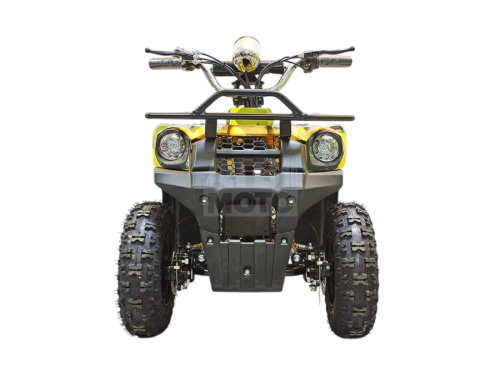 Квадроцикл GreenCamel Gobi K40 36V 800W Квадроцикл GreenCamel Gobi K40 36V 800W